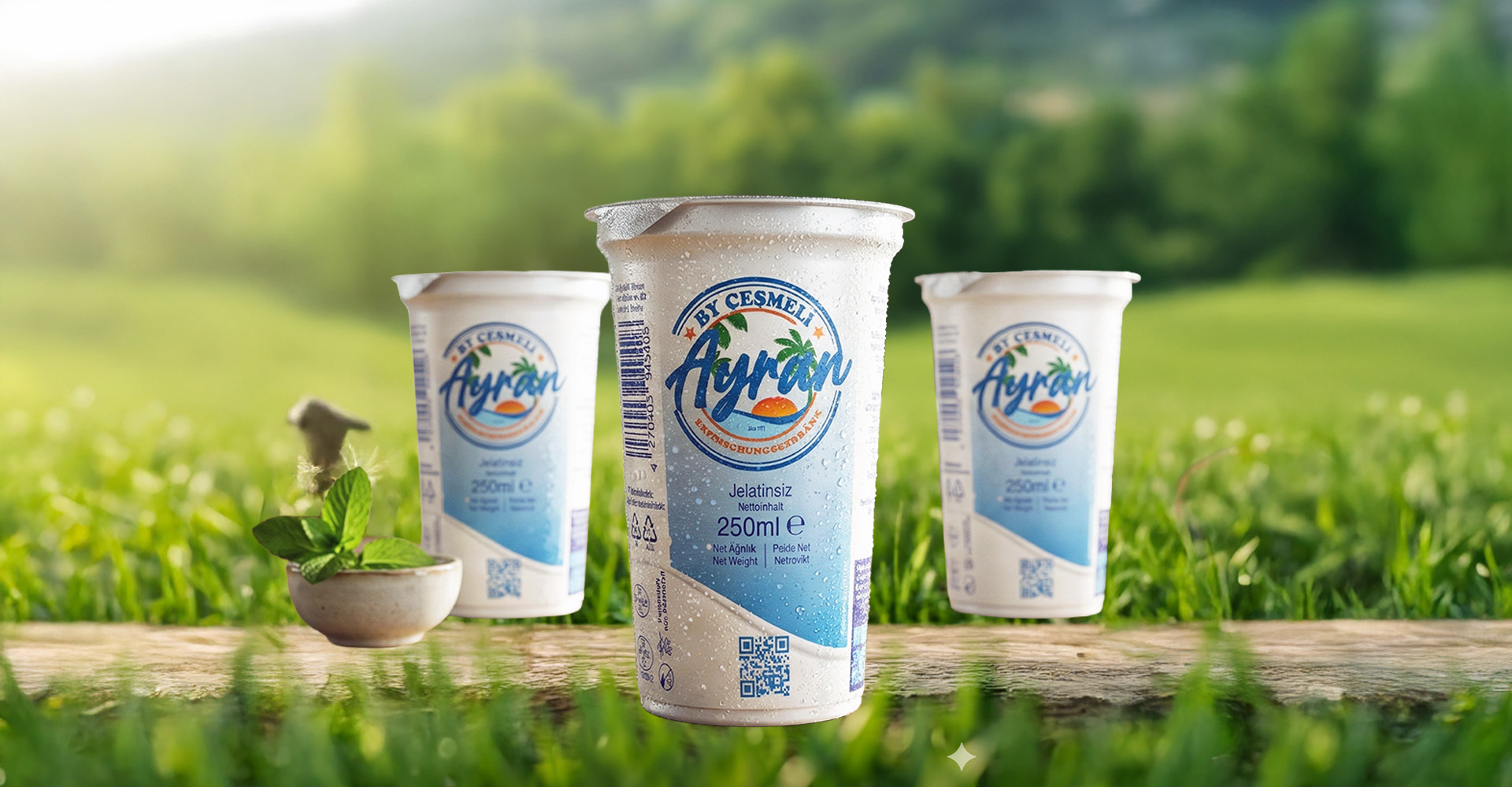 Ayran, cesmeli-ayran.de